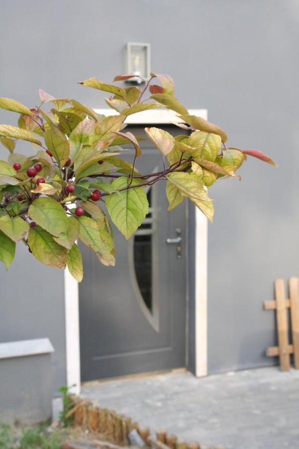 Apartament Dla Pary Stara Szkola Weremowice Exterior foto